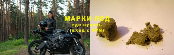 СК Нефтегорск