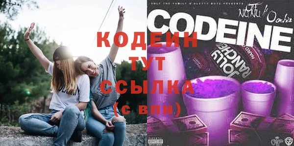 соль ск Новодвинск