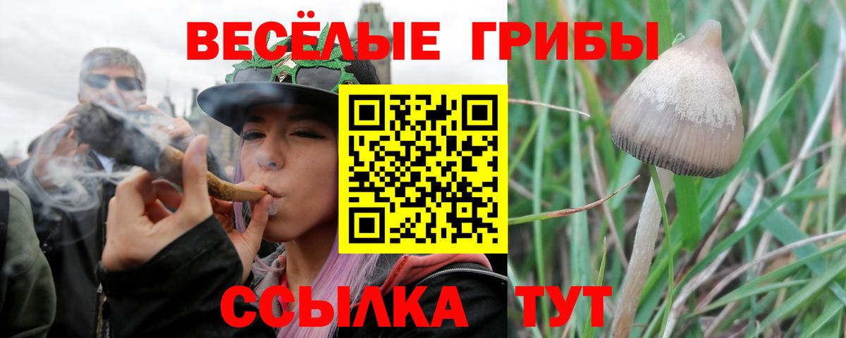 Железноводск  Псилоцибиновые грибы ЛСД  Галлюциногенные грибы Psilocybine cubensis  Вход с VPN 